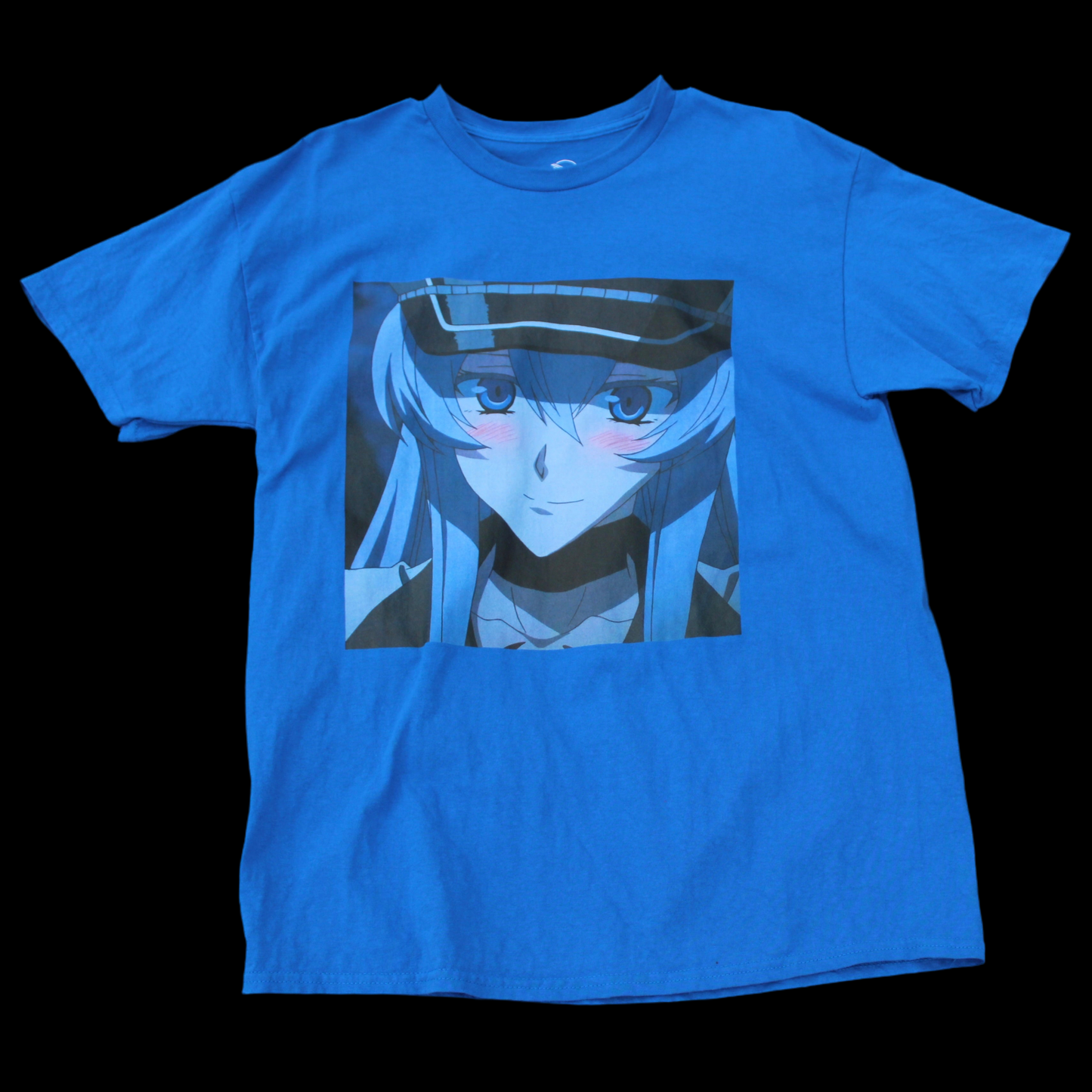 Akame Ga Kill Blue Unisex T-Shirt “Esdeath”